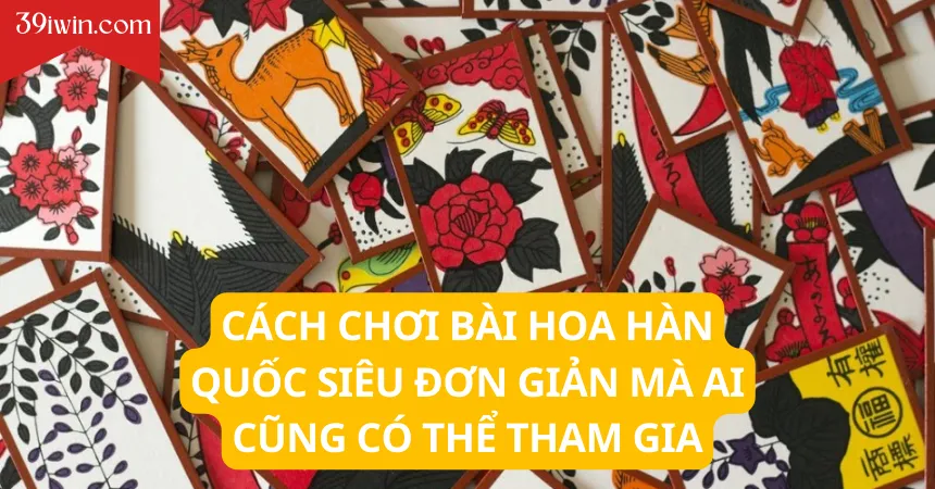 Cách chơi bài hoa Hàn Quốc siêu đơn giản mà ai cũng có thể tham gia